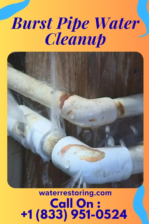 Burst Pipe Water Cleanup in Eustis, FL