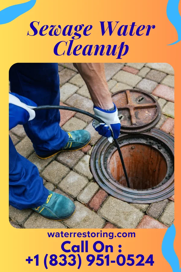 Sewage Water Cleanup in Eustis, FL